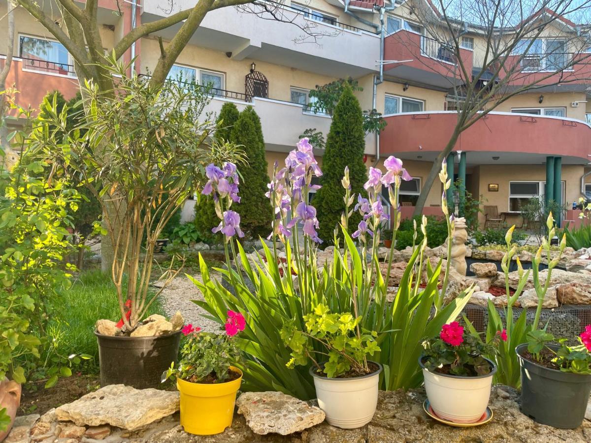 旧瓦马Vamabel House住宿加早餐旅馆 外观 照片